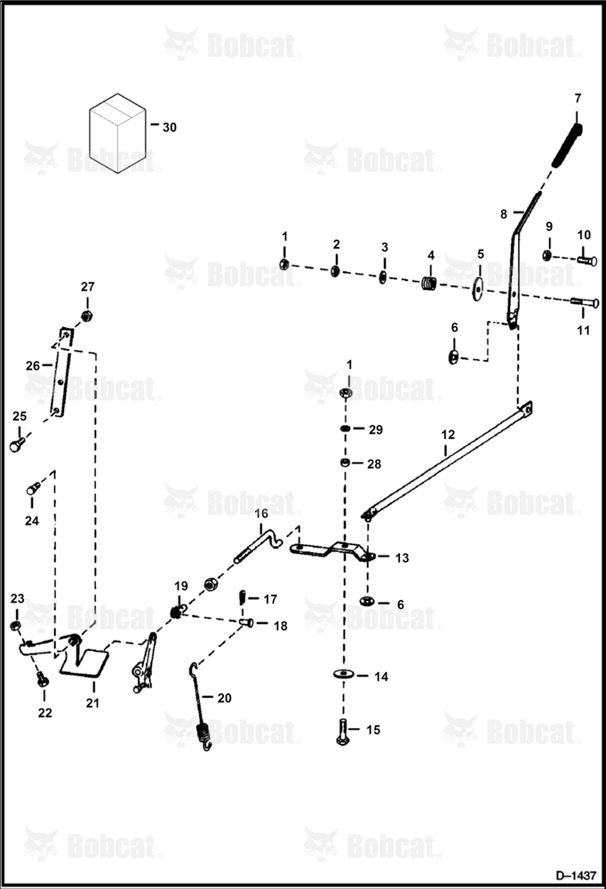 Throttle (Deutz 411)