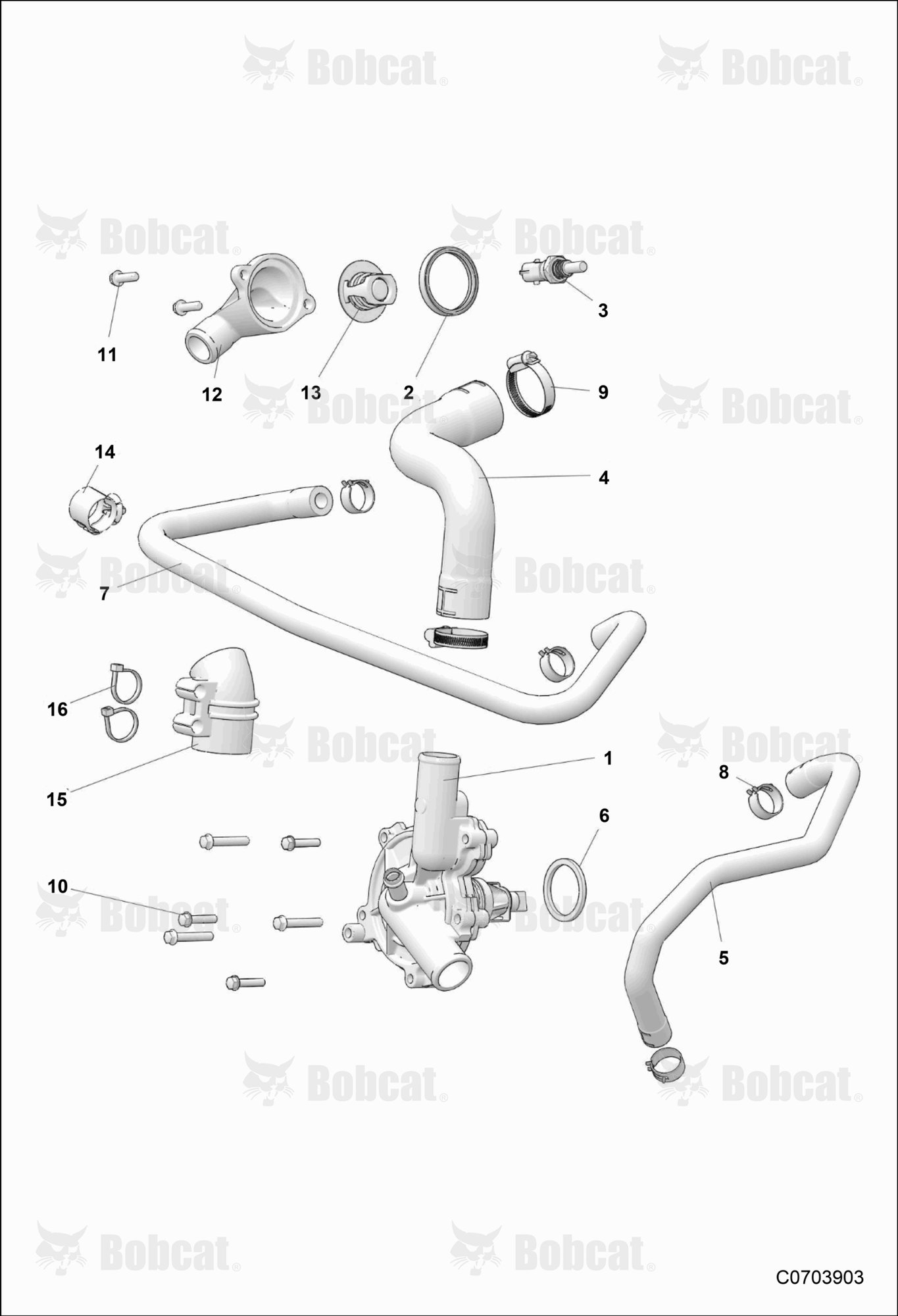 ENGINE, Waterpump and Bypass