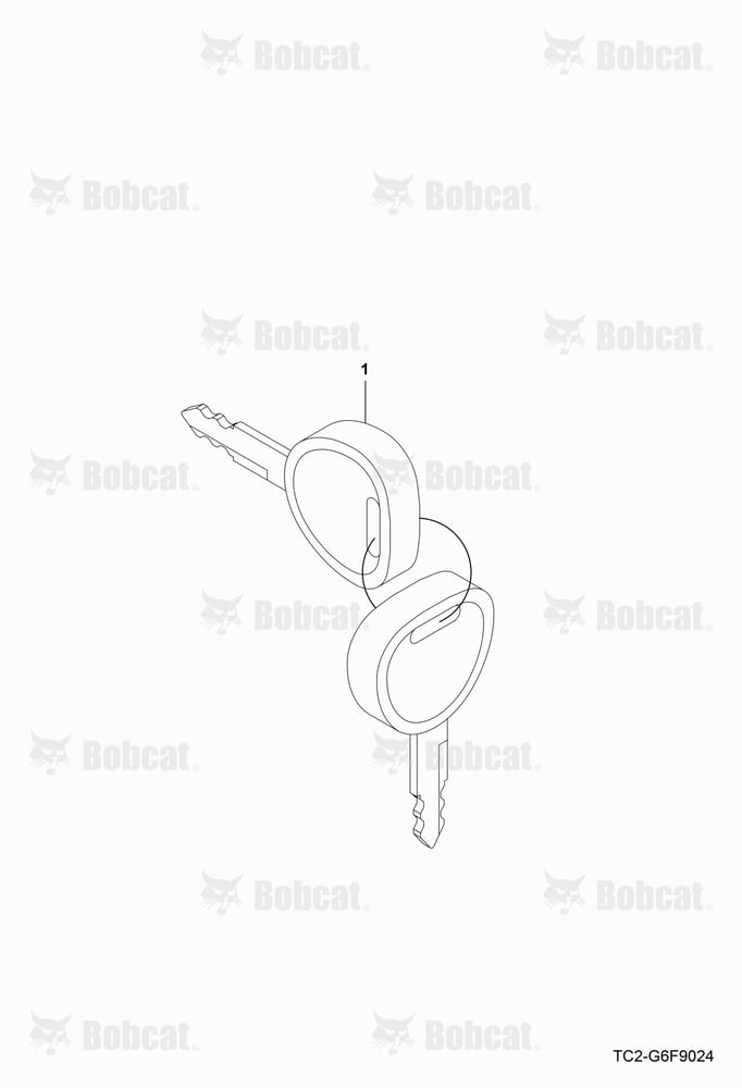 Ignition Key