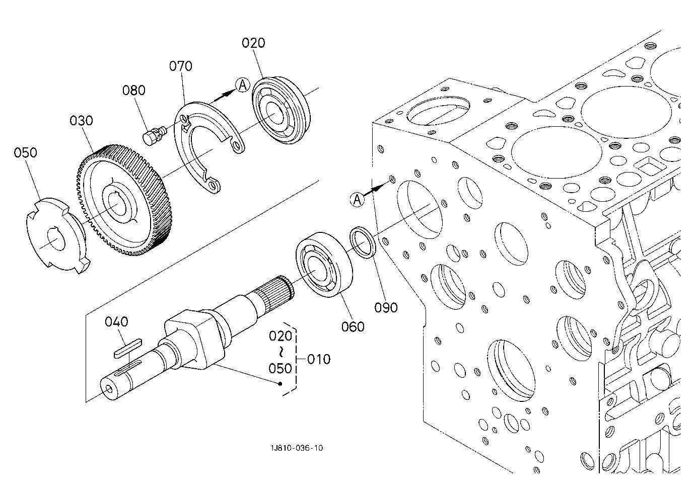 Fuel Camshaft