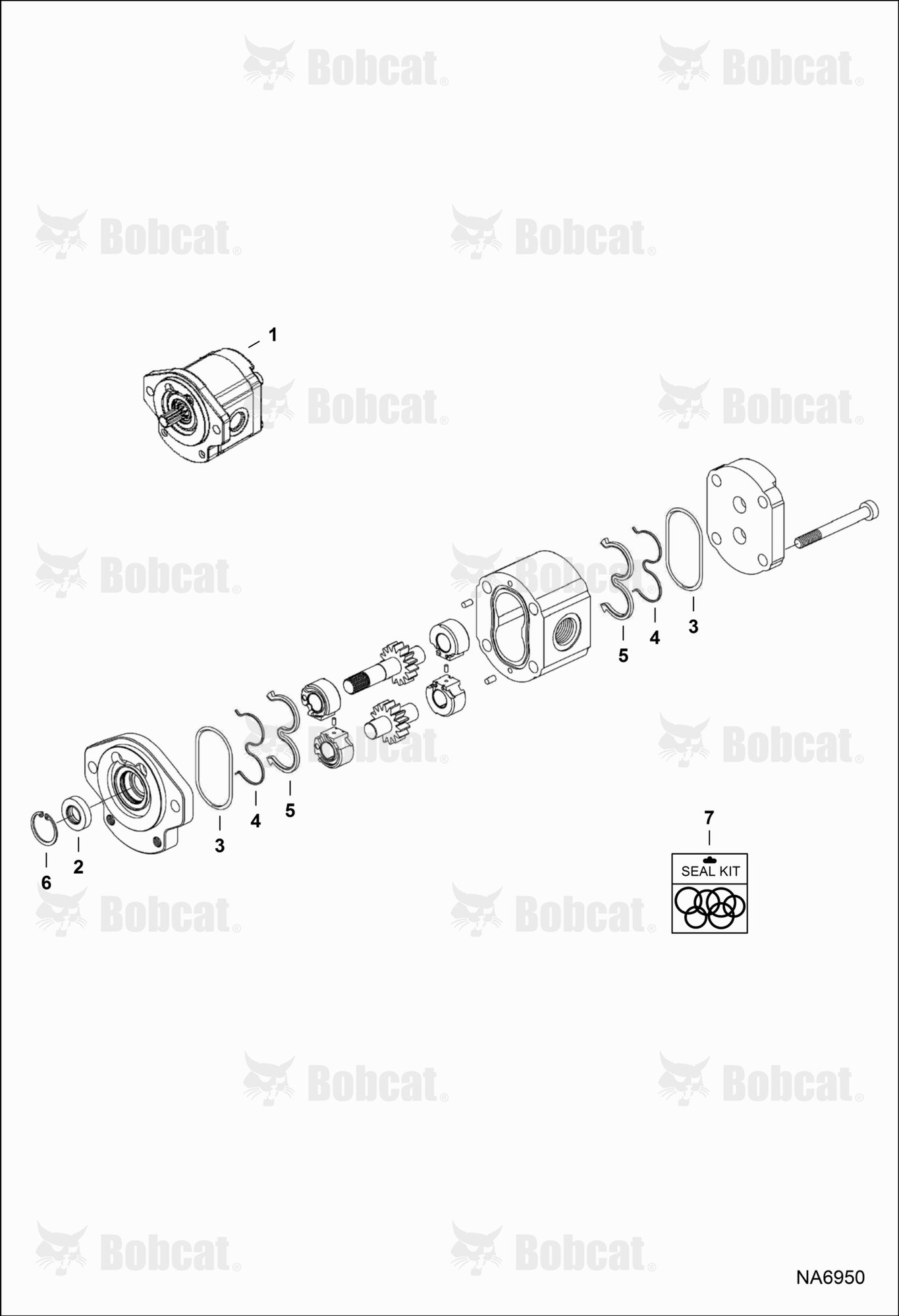 Gear Pump