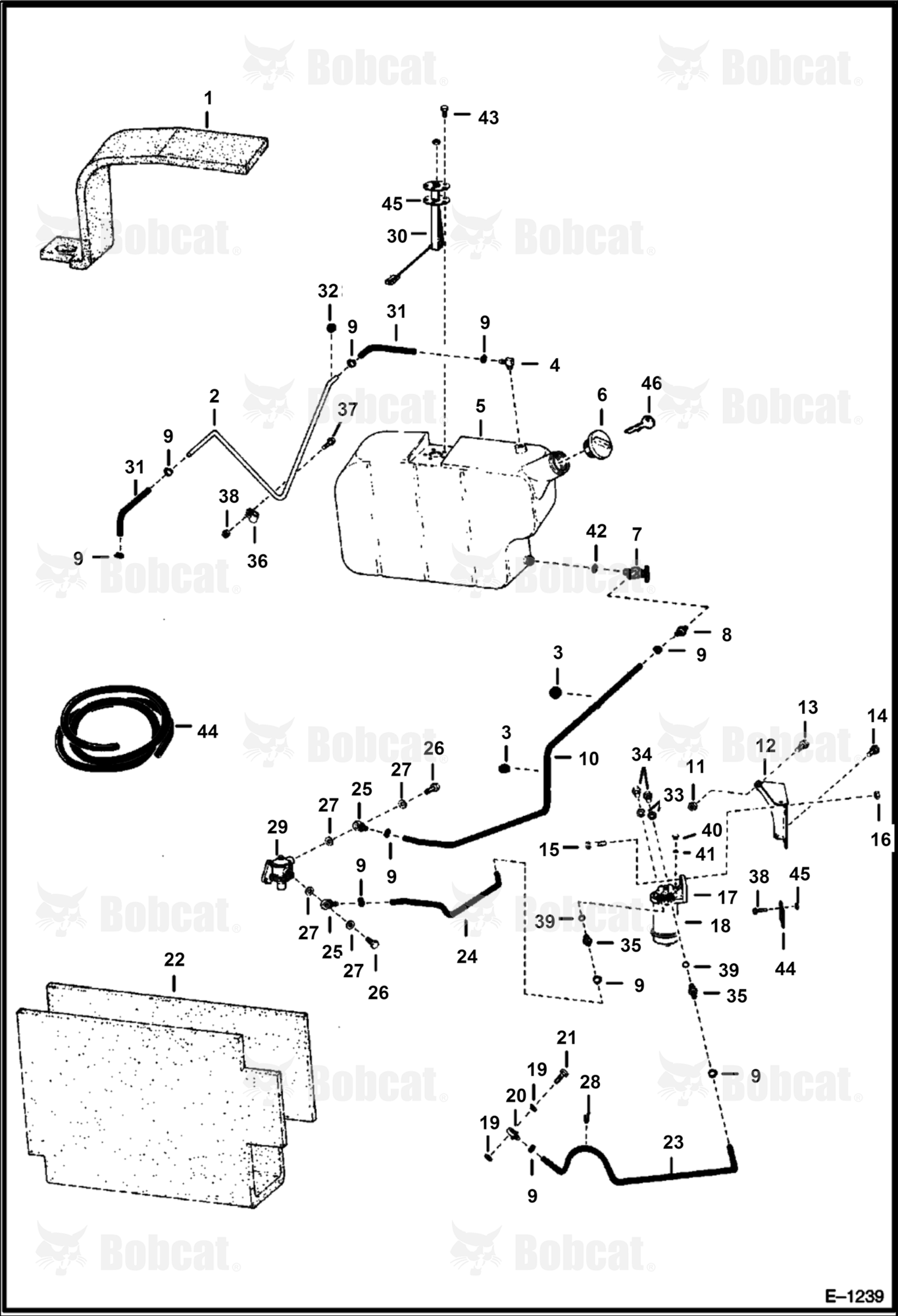 Fuel System  5006M11001 & Above