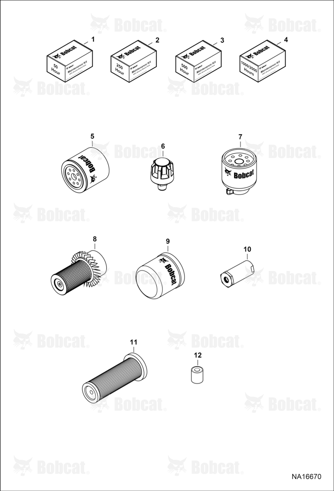 Maintenance Items (Scheduled Maintenance)