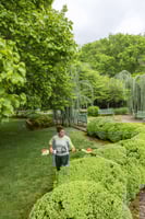 Thumbnail of STIHL HLA 66 Cordless Hedge Trimmer Action