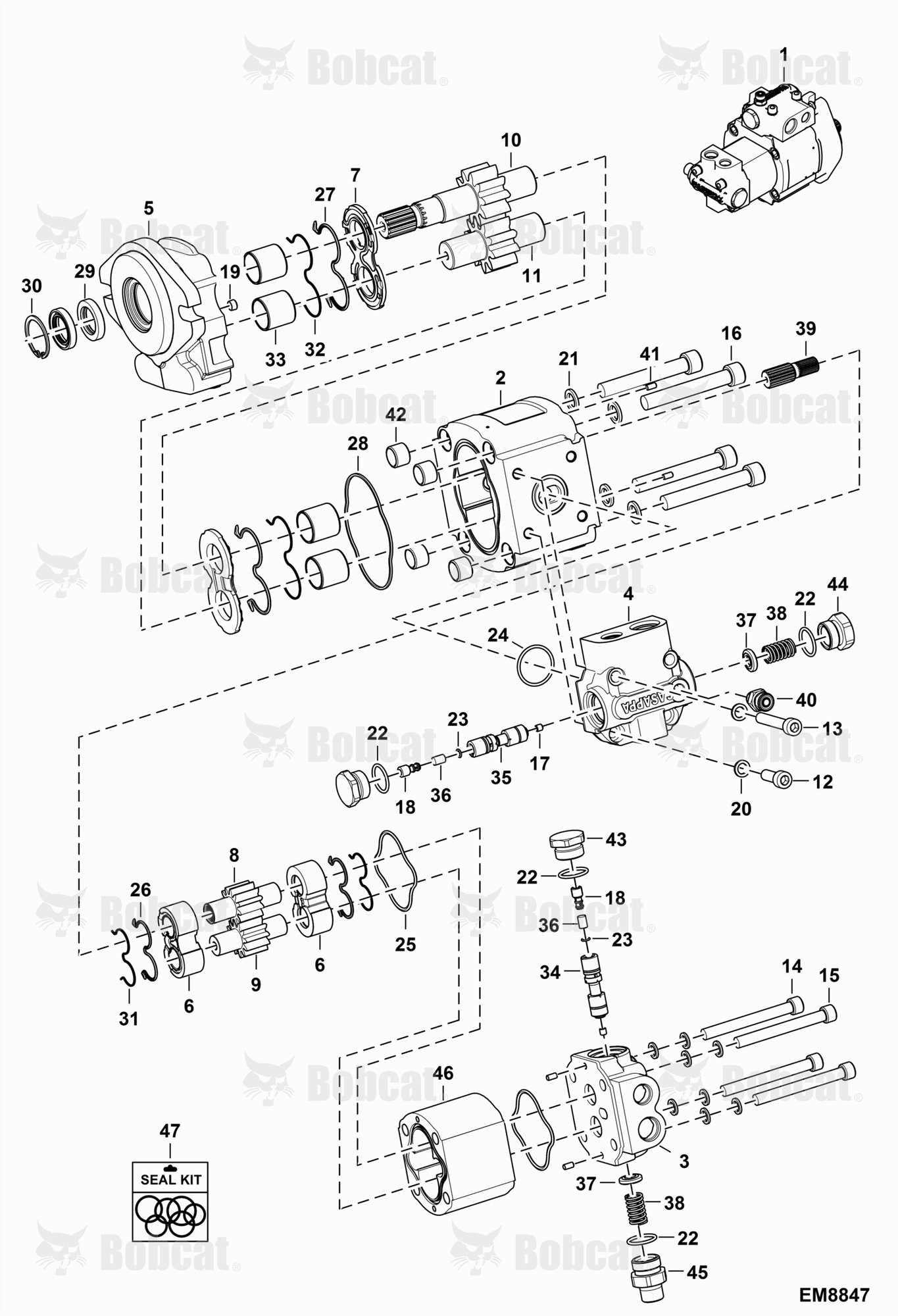Gear Pump