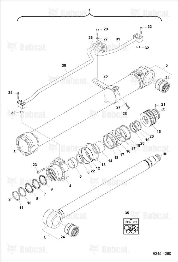 Boom Cylinder (RH)