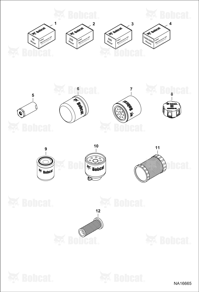 Maintenance Items (Scheduled Maintenance)