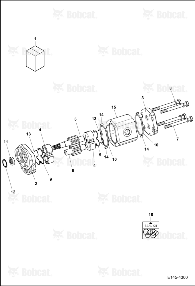 Gear Pump (ROTATING)