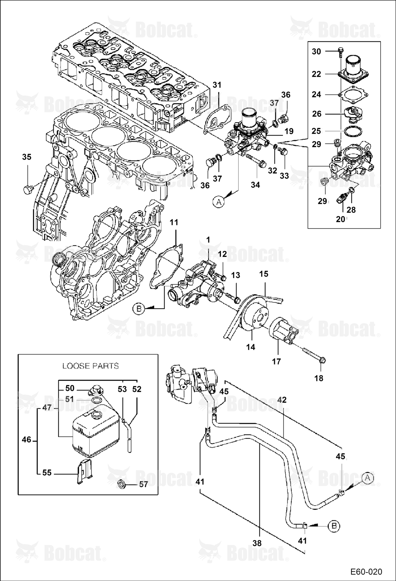 Water Pump & Thermostat