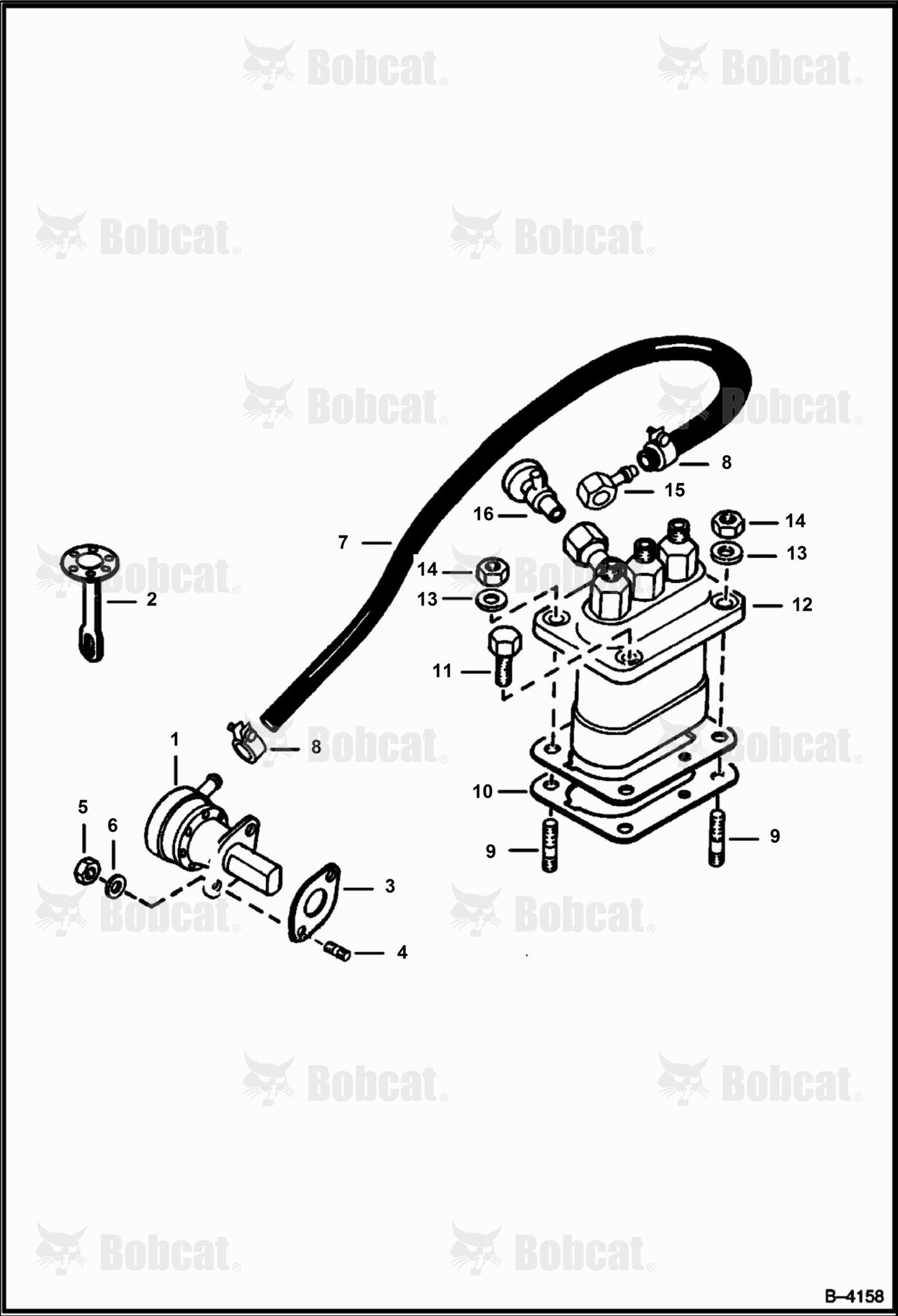 Fuel & Injection Pump
