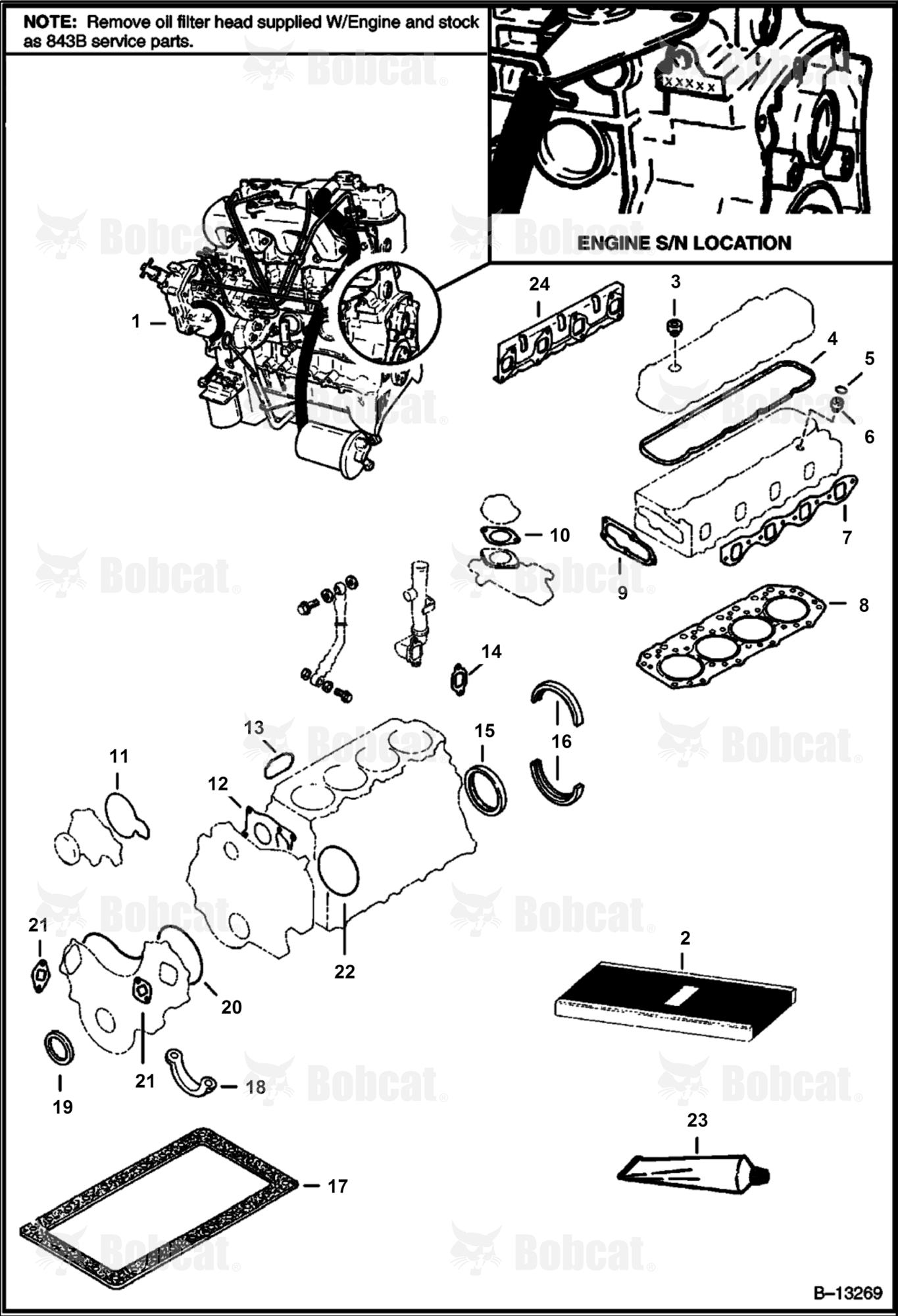 Engine & Gasket Kits