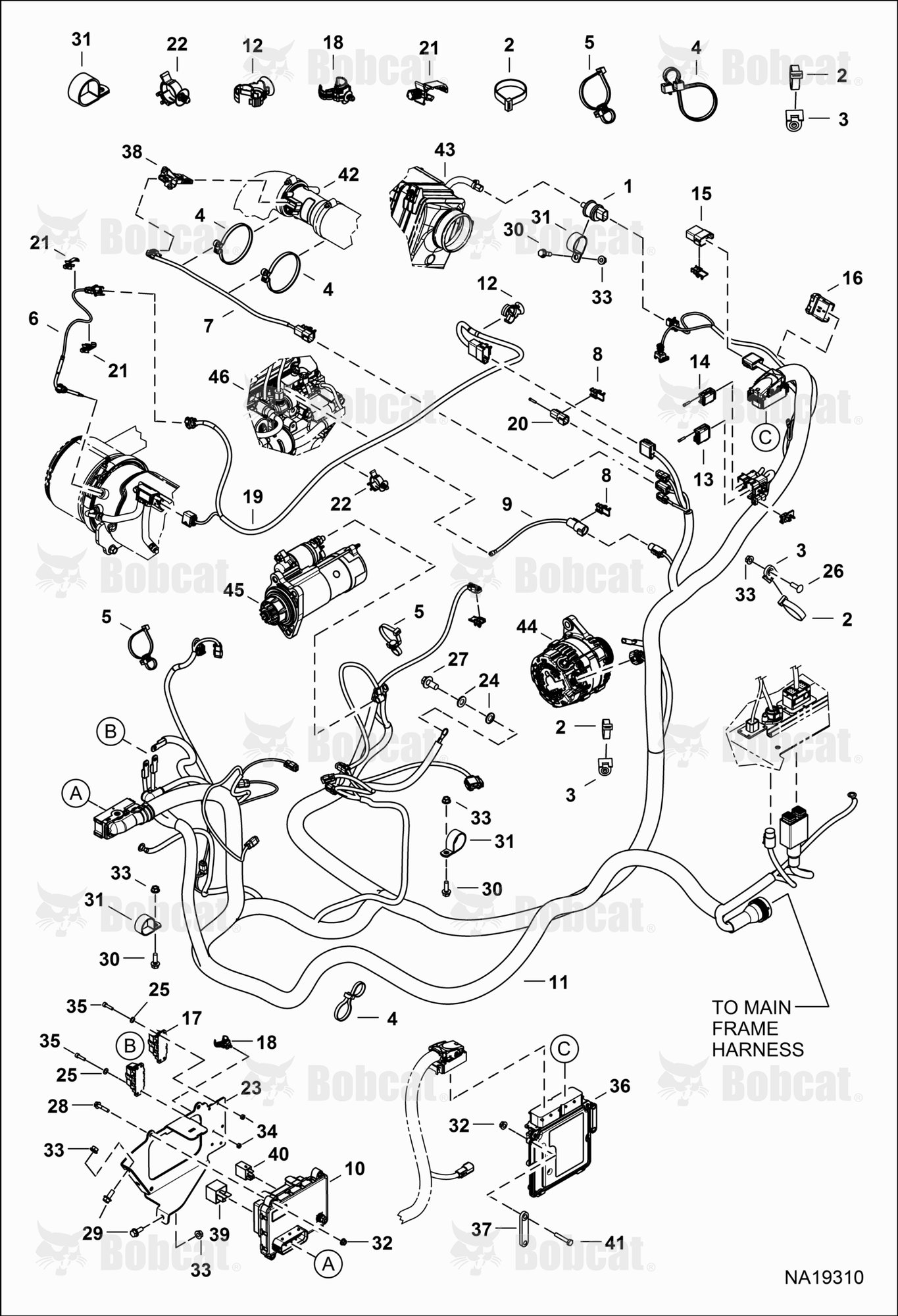 Engine Electrical Circuitry (Harness)