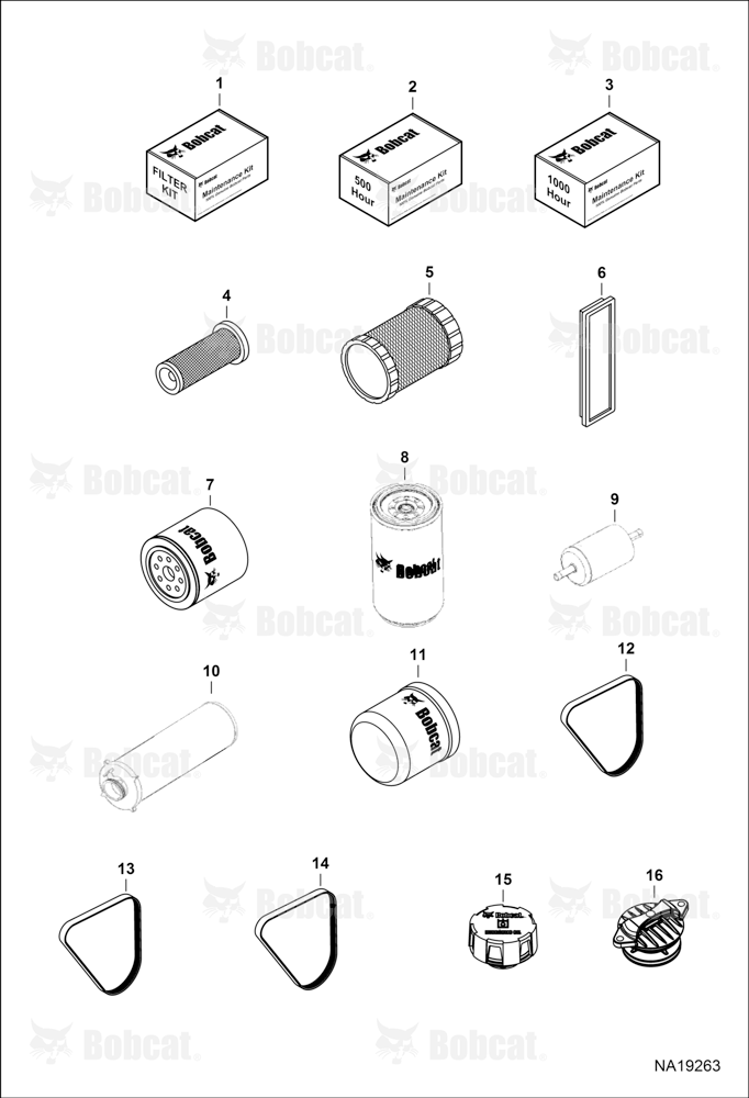 Maintenance Items (Scheduled Maintenance)