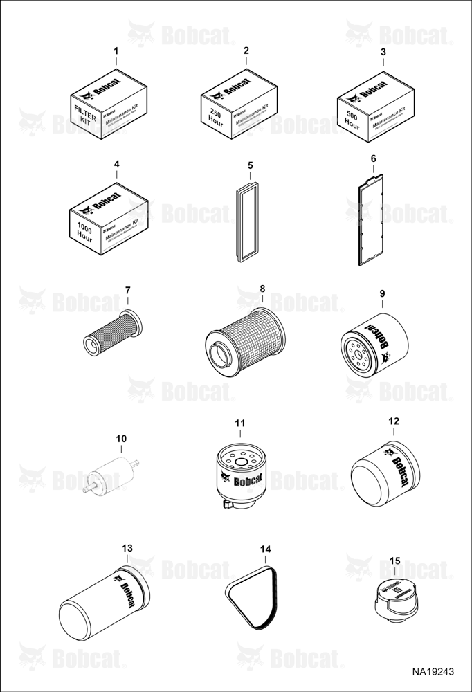 Maintenance Items (Scheduled Maintenance)