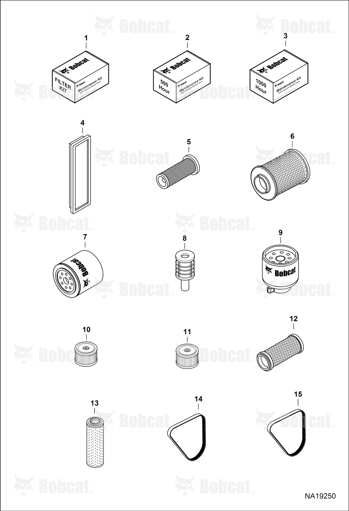 Maintenance Items (Scheduled Maintenance)