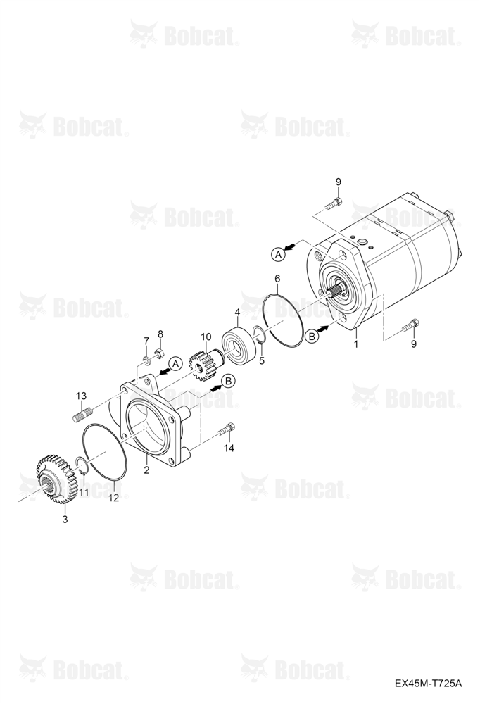 Gear Pump Group