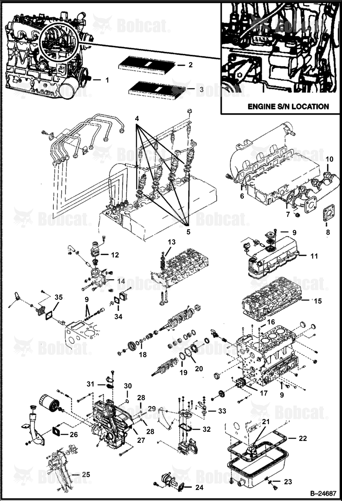 Engine & Gasket Kits (Kubota - V1903 2EB - Tier II Replacement)