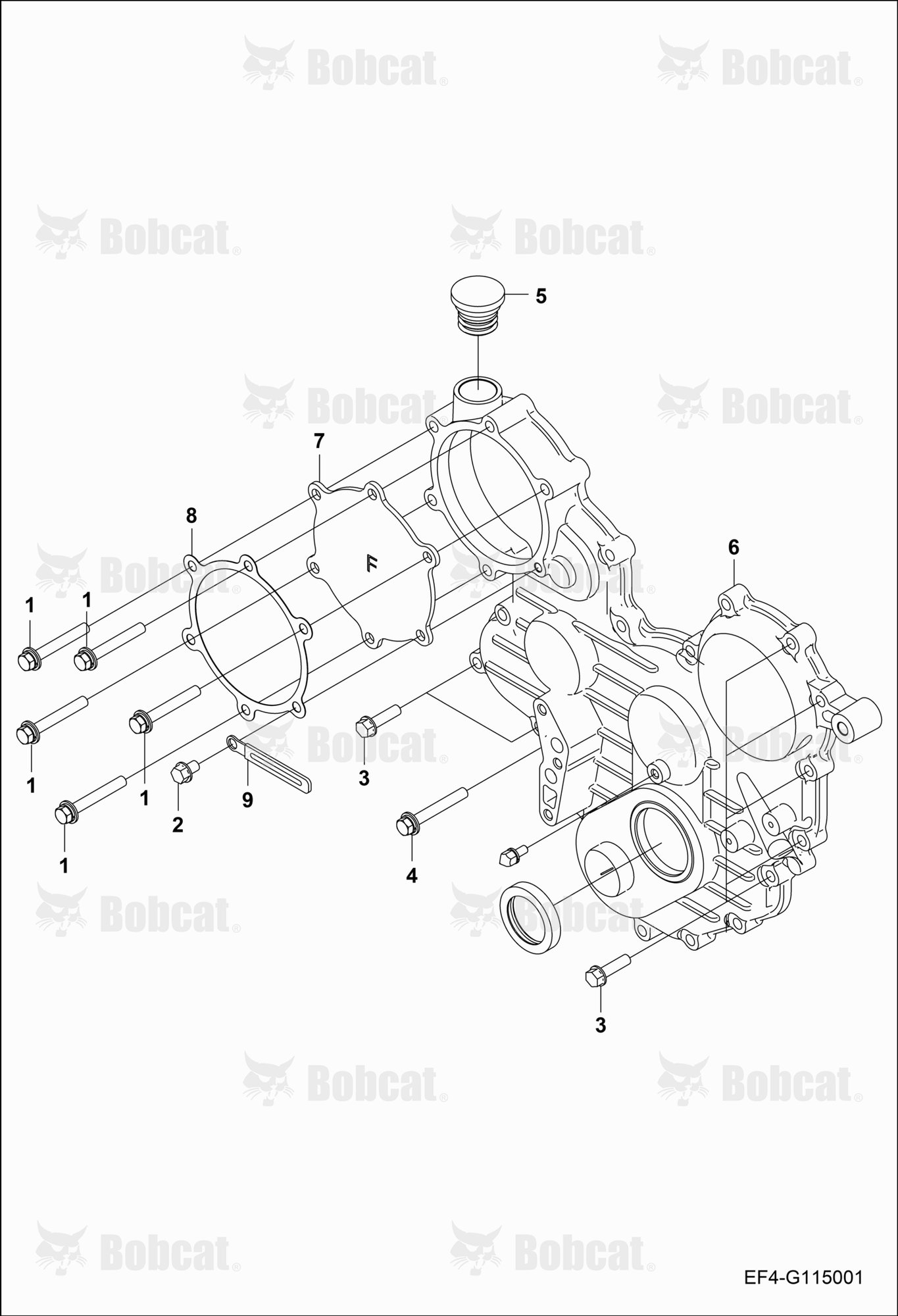 Gear Case Cover Group