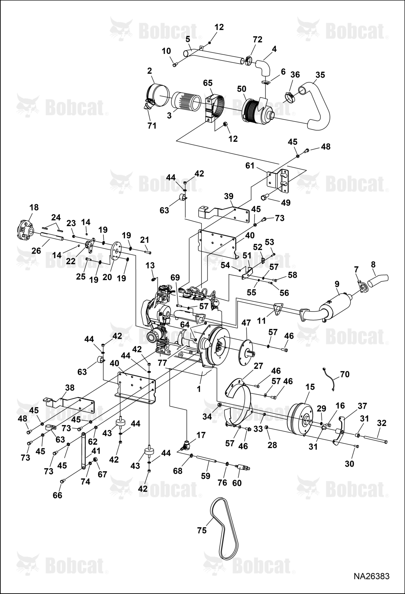 Diesel Engine