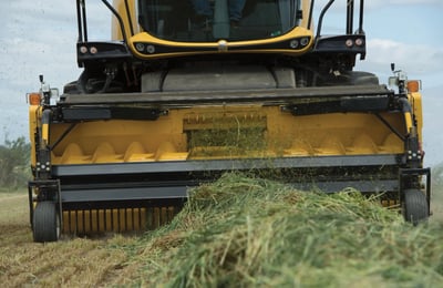 New Holland FR650.jpg