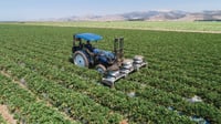 Thumbnail of N H W M50 Tractor
