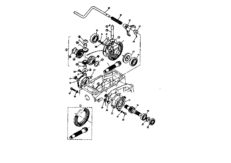 Differential
