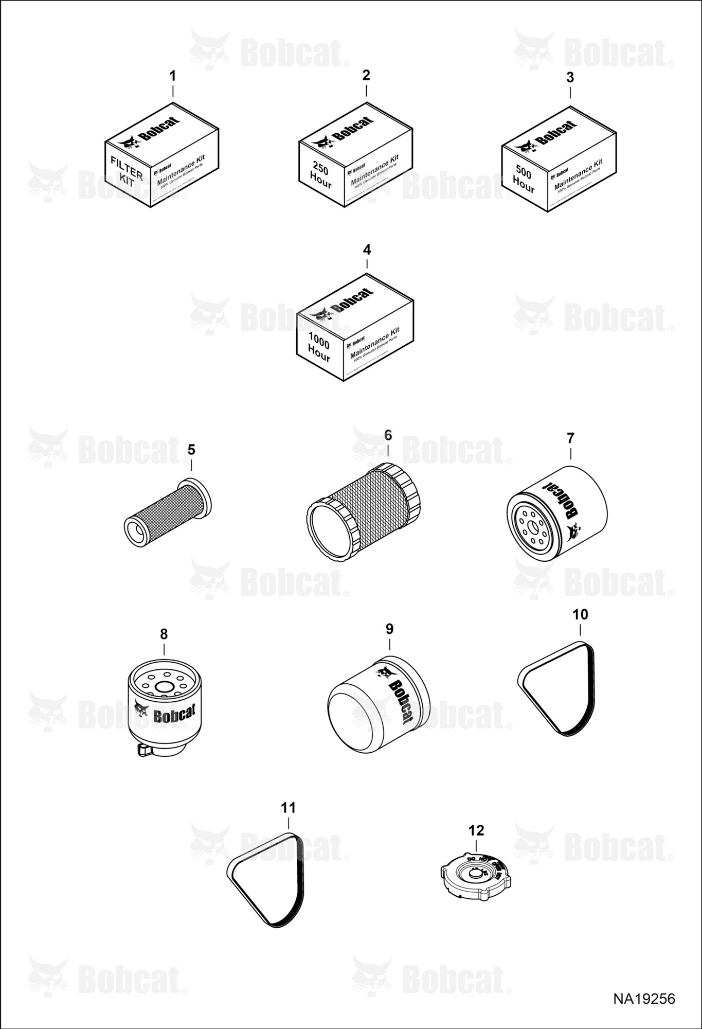 Maintenance Items (Scheduled Maintenance)
