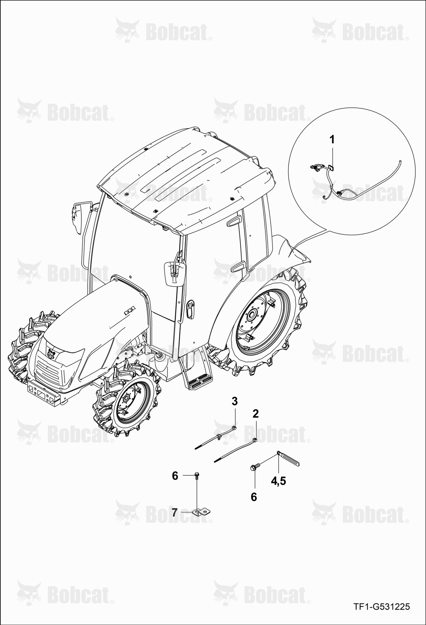 Fender Wire Harness Group