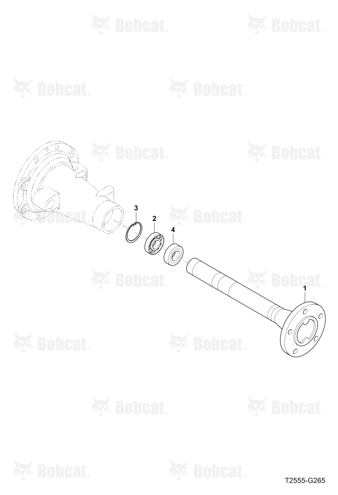 Rear Axle Group
