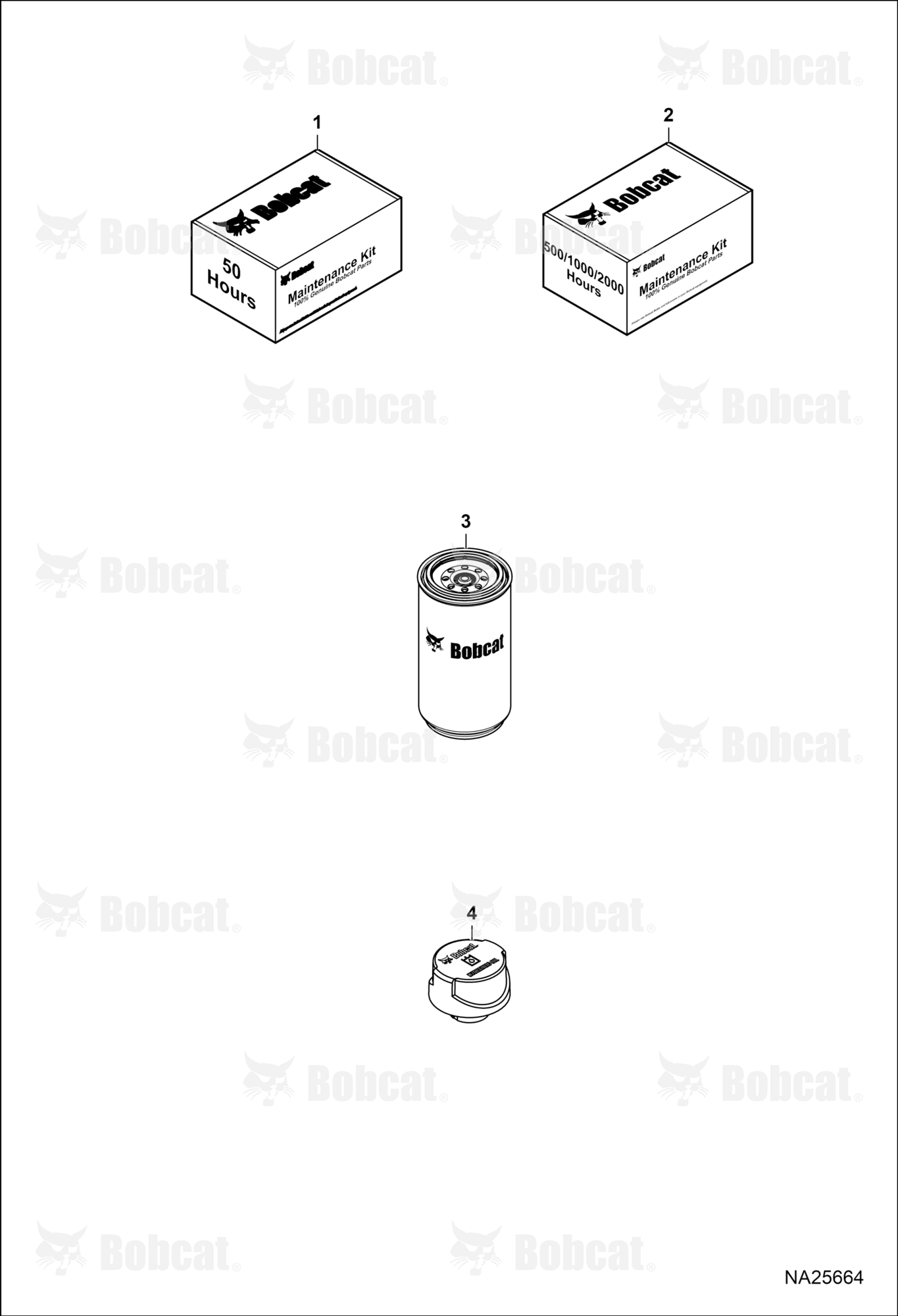 Maintenance Items (Scheduled Maintenance)