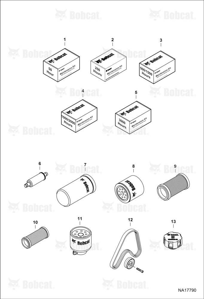 Maintenance Items (Scheduled Maintenance)