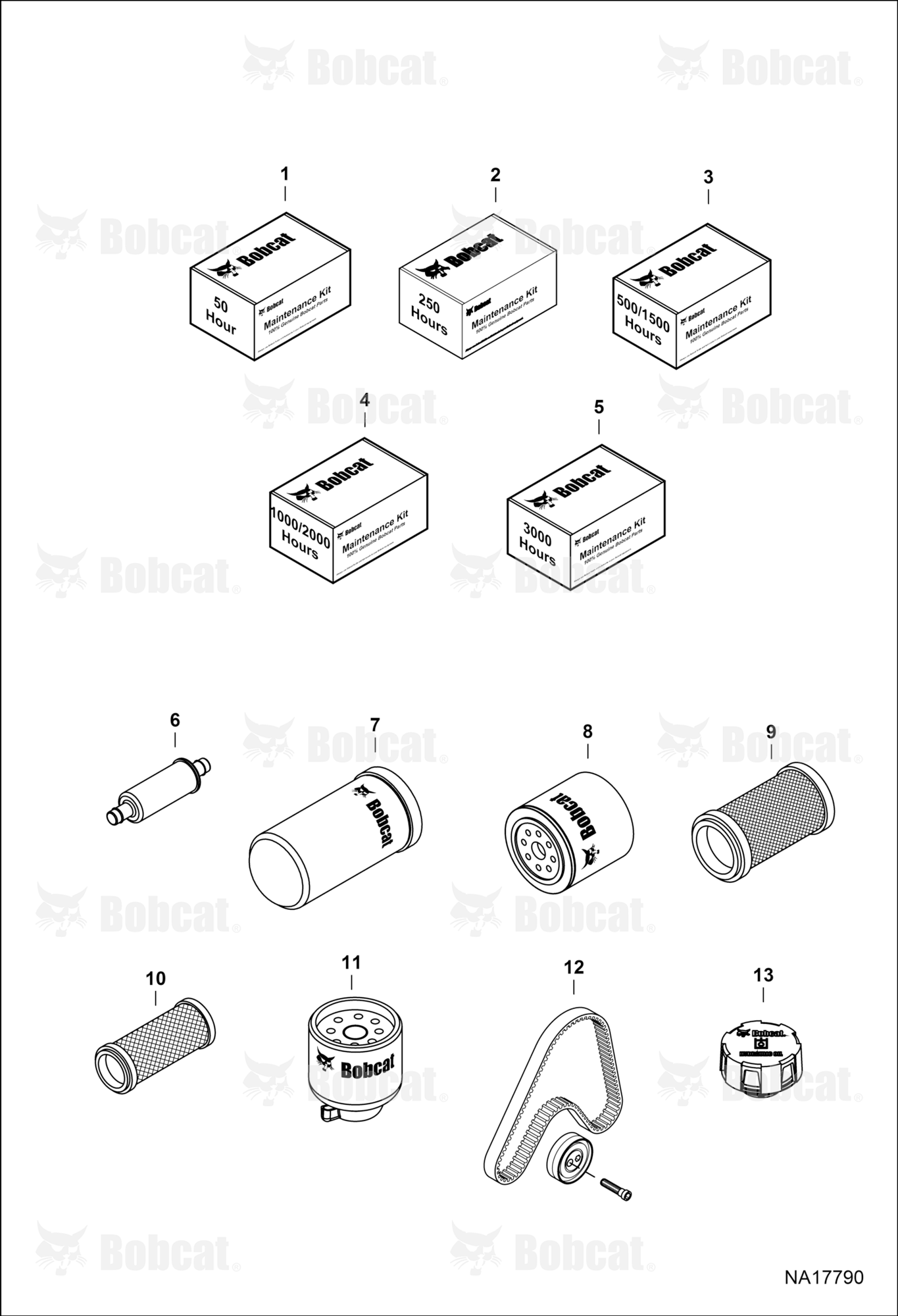 Maintenance Items (Scheduled Maintenance)