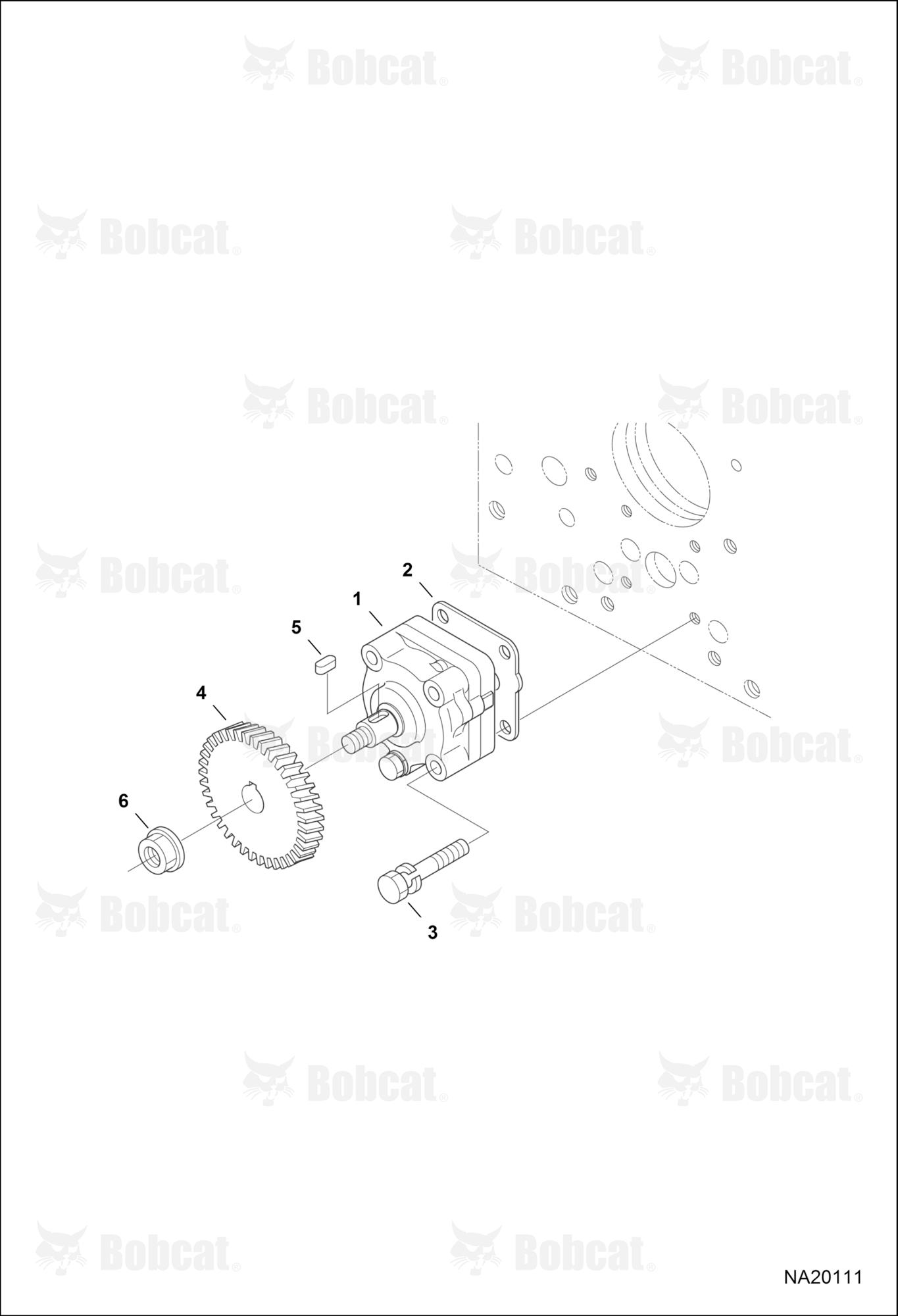 CAM Gear Pump