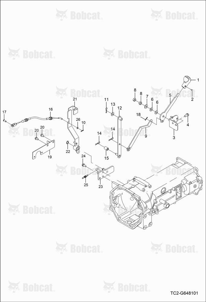 Accelerator Lever Group