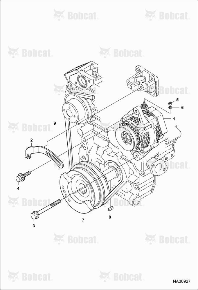 Alternator & Pulley