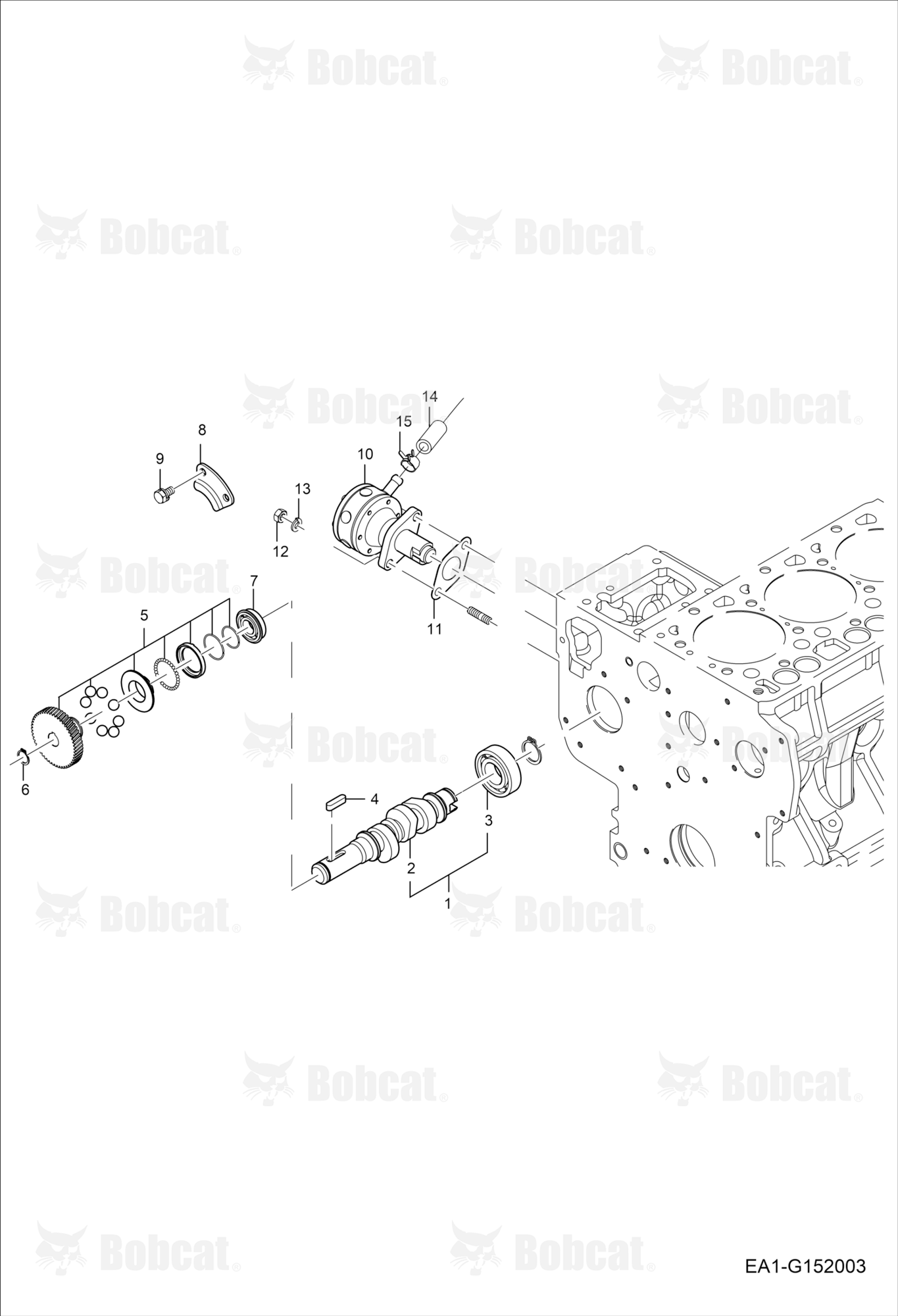 Fuel Camshaft Group