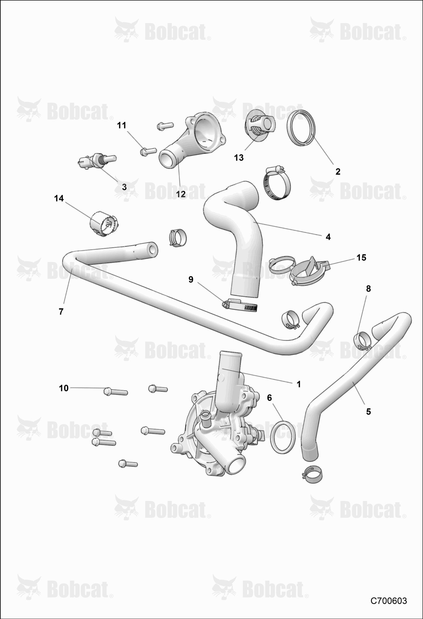ENGINE, Waterpump & Bypass
