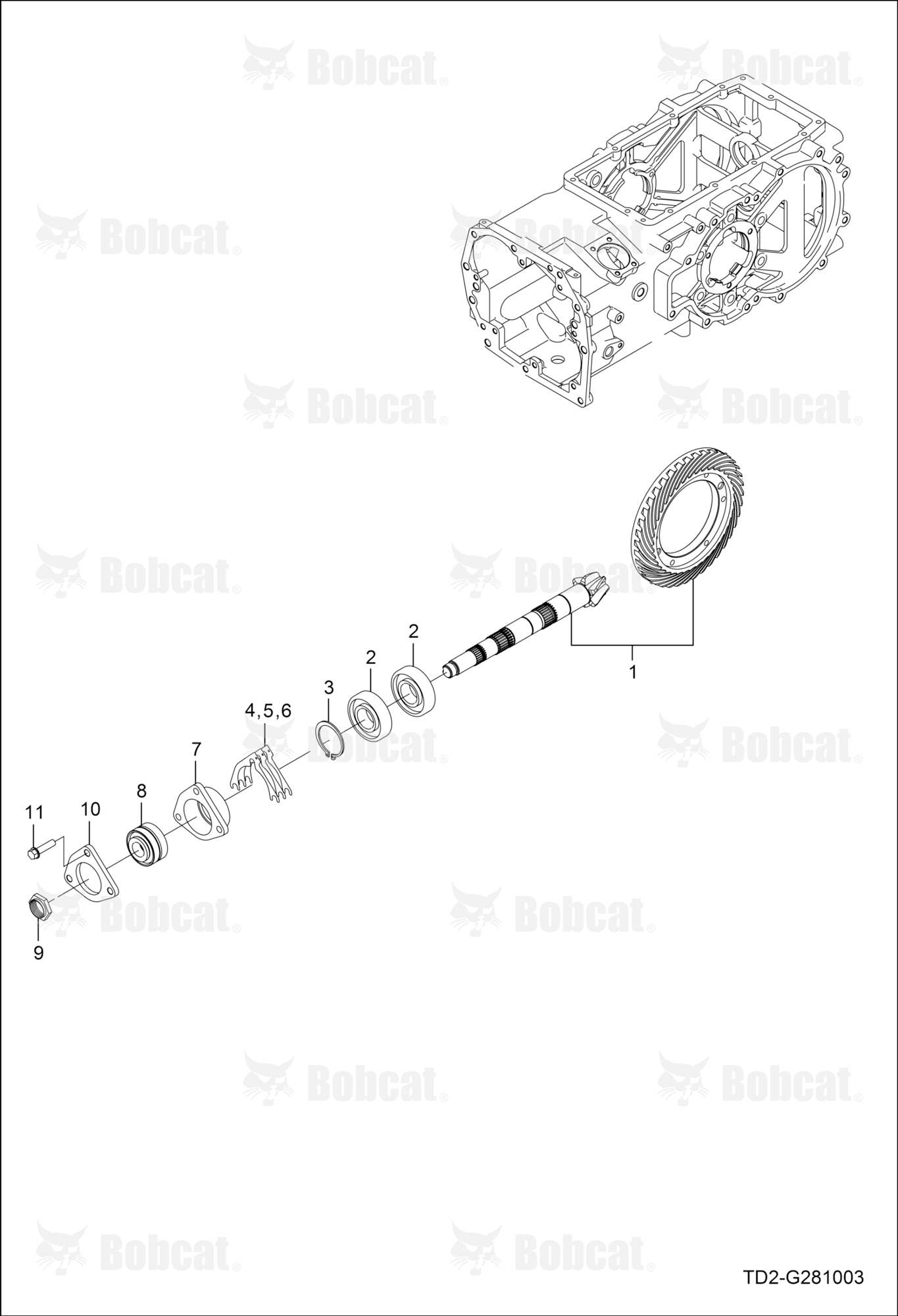 Spiral Bevel Pinion Shaft Group