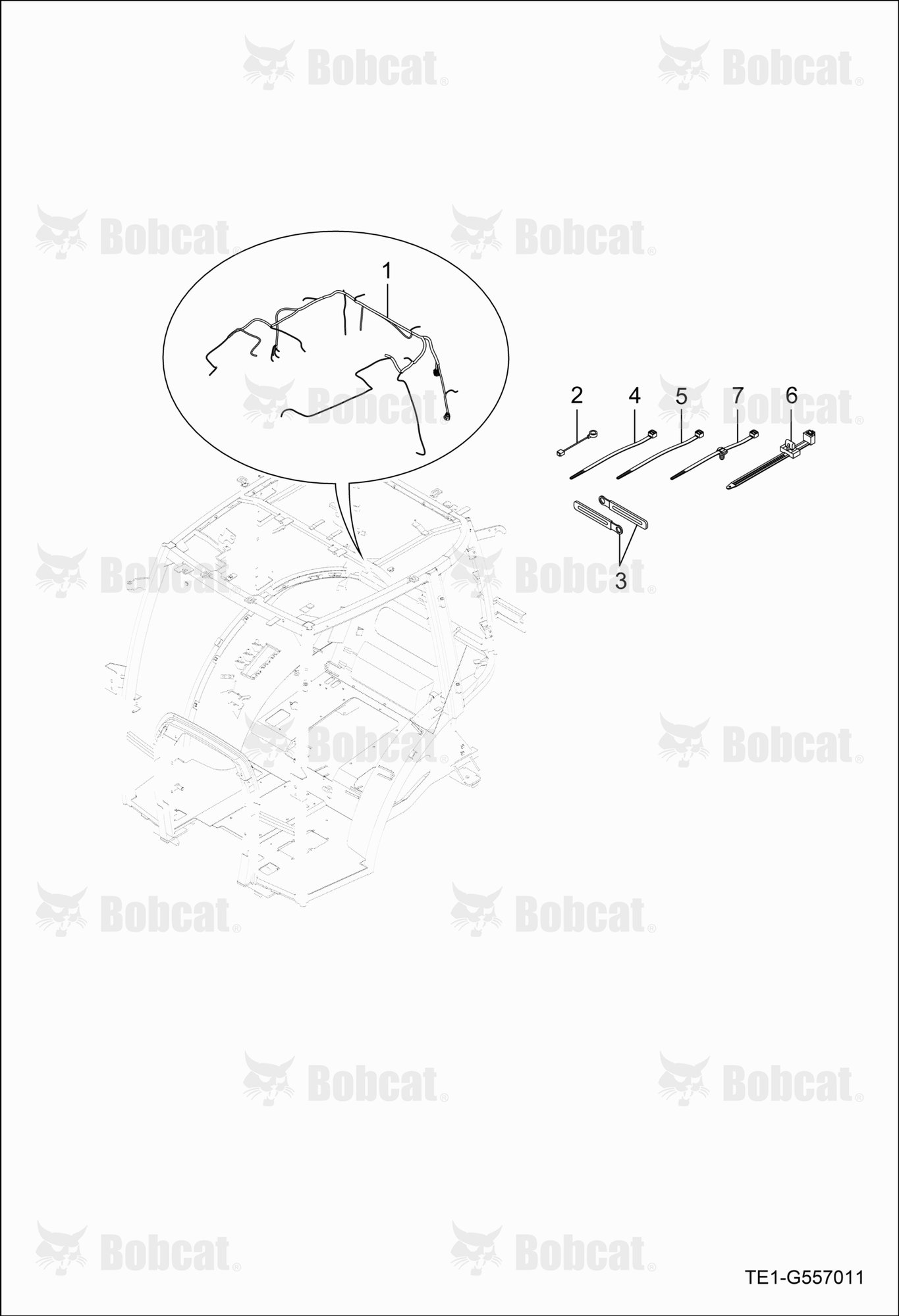 Cabin Wire Harness Group
