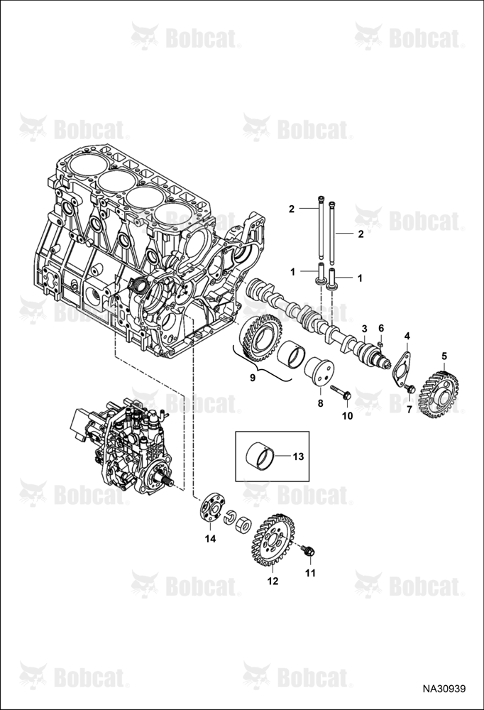 Camshaft & Driving Gear