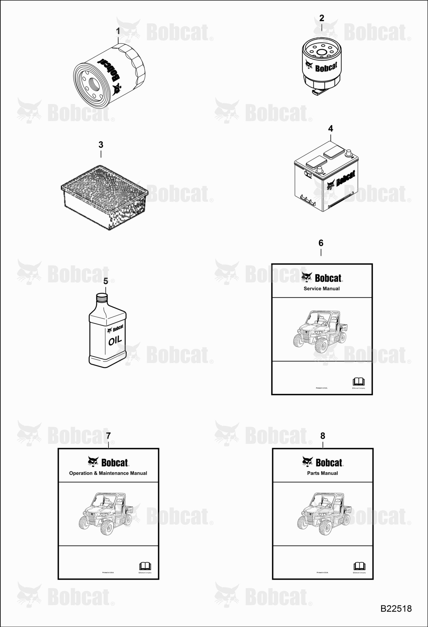 Maintenance Items (2100/2100S)