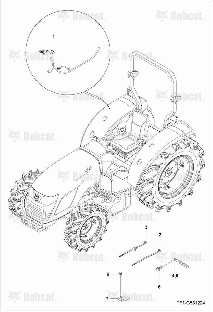 Fender Wire Harness Group