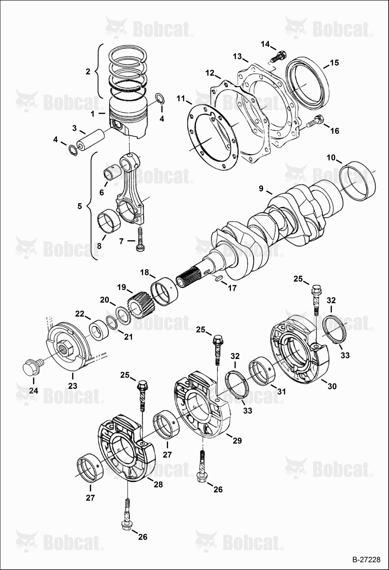 Piston & Crankshaft