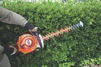 Thumbnail of STIHL HS 56 Hedge Trimmer Action