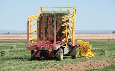 New Holland Stackcruiser 103.jpg