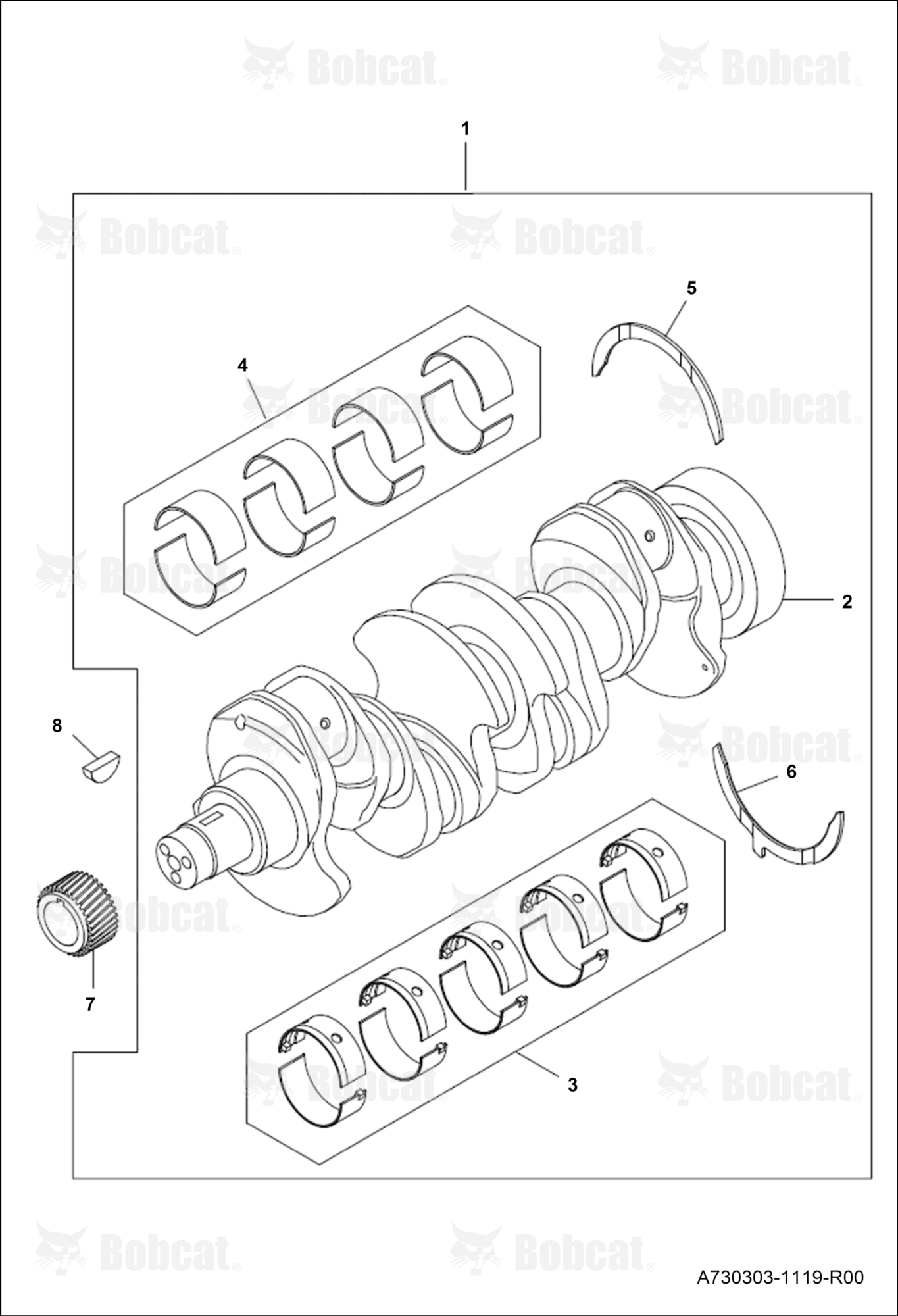 Crankshaft & Bearings