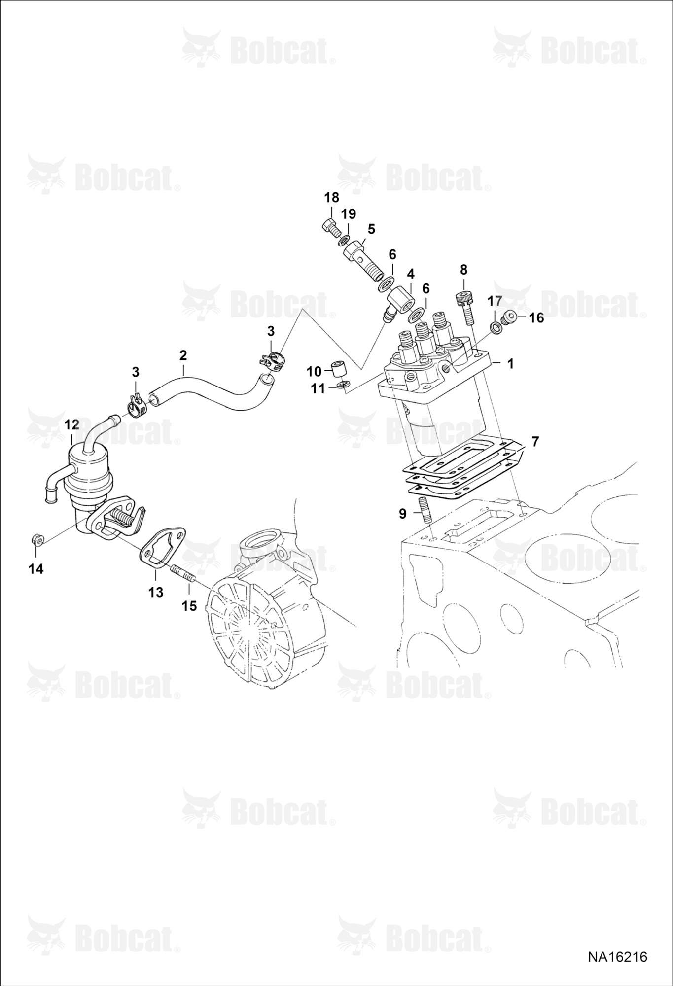 Injection Pump & Fuel Pump