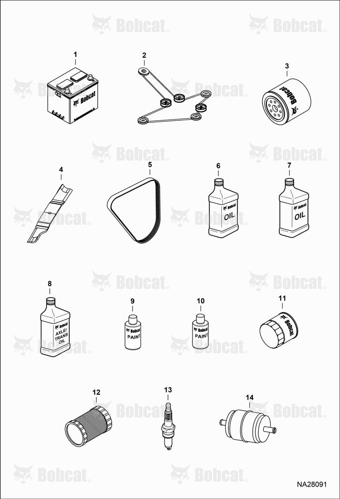 Maintenance Items (Service Items)