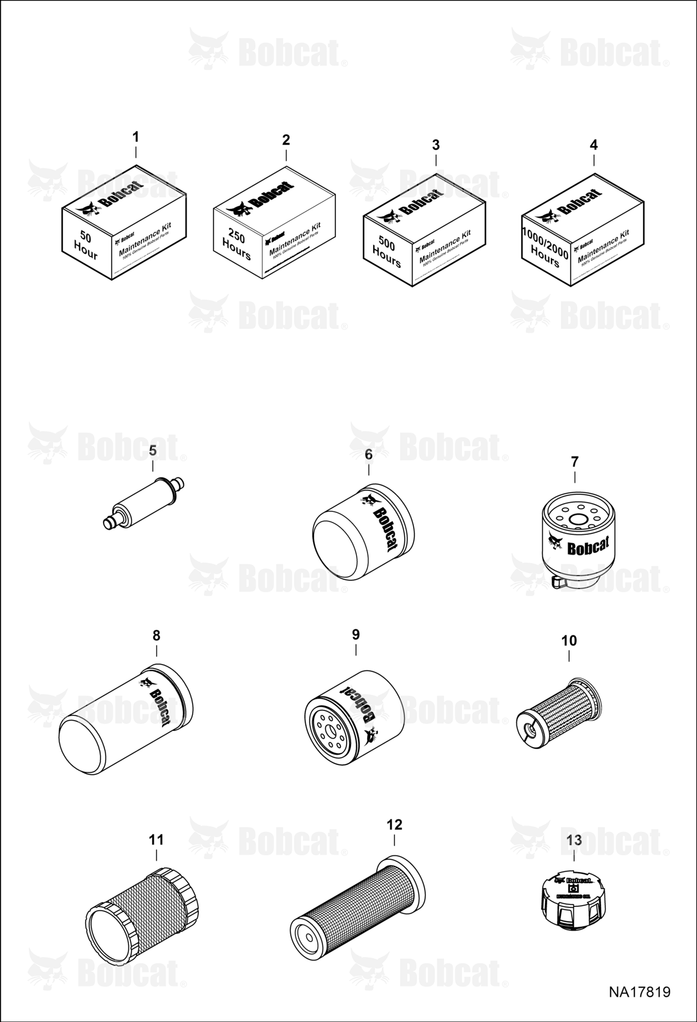 Maintenance Items (Scheduled Maintenance)
