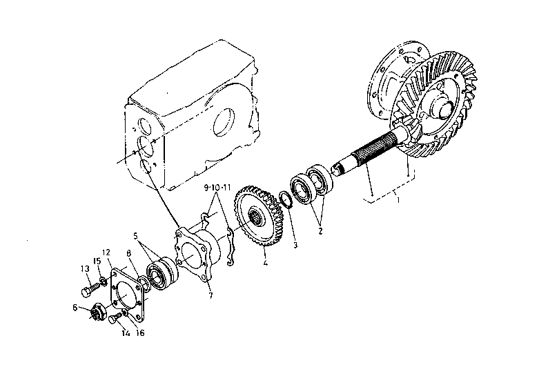 Spiral Bevel Gear